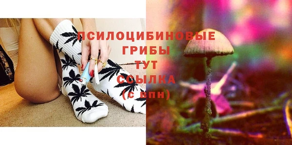 индика Новодвинск