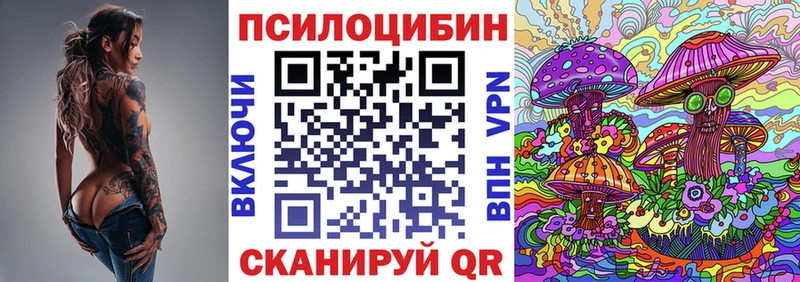 купить наркотик  Чегем  KRAKEN как зайти  Псилоцибиновые грибы GOLDEN TEACHER 